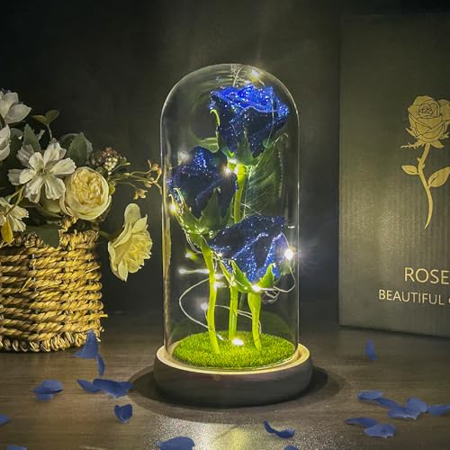Hemiro Rosa Eterna, Regalo San Valentin, Regalos Originales para Mujer, Rosa Preservada con LED, Regalos para Mujer, Mamá, Abuela,Novia