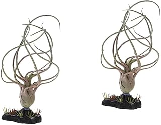 2 Peças Decoração De Tanque Ornamento De Aquário Acessório Plantas Decoração Habitat Lagartos Artificiais Barbudos Realistas Para Dragões Planta Terrário Suprimentos Simulados