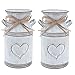 Cabilock 2 Pièces English Shabby Chic Métal Cruche Galvanisé Vase pour Fleurs Lait Peut Rustique Seau Ferme Décor pour La Maison Cuisine Salon (Style 1)