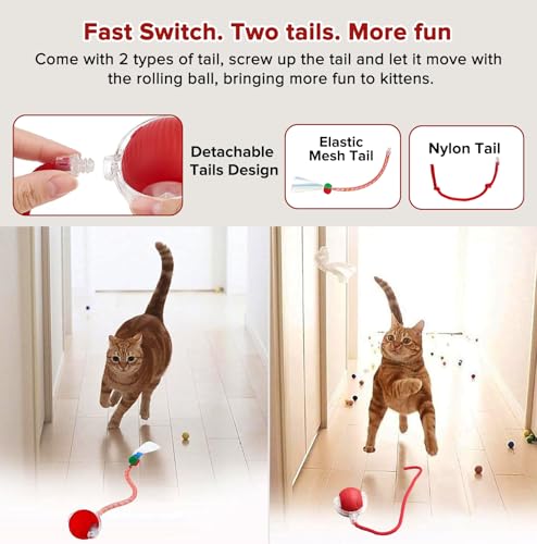 Interactive Cat Toy Ball with Code ZHPNJRQS - $7.78 - Image 3