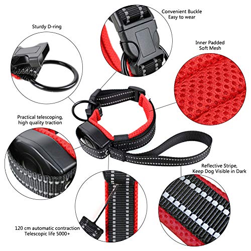 PJDDP Hundehalsband Mit Einziehbarer Hundeleine 2 in 1, Haustierhalsband Mit Schnellverschluss Reflektierende Verstellbares Hundetrainingshalsbänder Für Mittlere Und Kleine Hunde Walking/Wandern,M