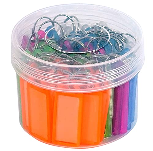 ayushicreationa Keychains with Plastic Name Tag Labels Identifiers Tags with Keyring for Luggage Drawers Cupboards Room Keys Multipurpose Multicolor (50)