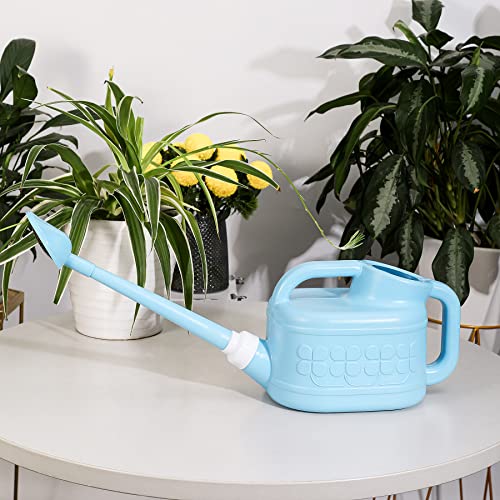 Garden Watering Can For Indoor & Outdoor Plants, Ebristar Plastic Watering Can 1 Gallon With Long Spout & Removable 360 Degree Rotation Sprinkler Head, Lightweight Watering Pot For Houseplants - Blue #TOP6