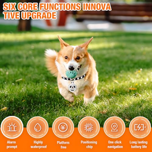 NAVESO Mini GPS Tracker für Katzen Hunde, Haustier Tracker mit Hundehalsband, Katzentracker Hundetracker, Echtzeit-Standortverfolgung, IP65 Wasserdichter,Ohne Monatliche Gebühren