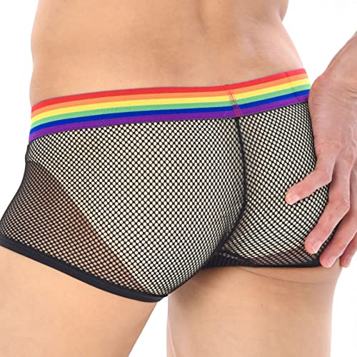 Men'S Bikini Panties Sexy Sexy Mesh Men'S Panties Hollow Boxers Shorts See Through Underwear4