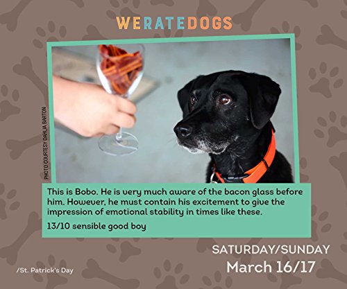 Weratedogs 2019 Day-To-Day Calendar #TOP3