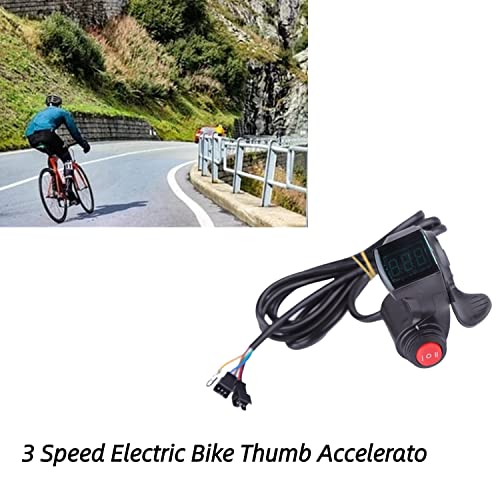 VGEBY1 Acceleratore del Pollice, Acceleratore del