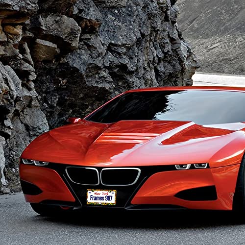 Maijee Cute Hippie License Plate Frame,License Plate Frame For Woman,Hippie Car Plate Frames,Tag Frames Holder Flower Floral Front Rear Car Decor Stainless Metal Aluminum 2 Pack 2 Holes For Women #TOP1