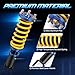 AUTOSTARSHIP Height Adjustable Coilover Lowering Kit Compatible for 1994-2001 Acura Integra 1989-2000 Honda Civic EG/ED/EK/EJ/EM1 Suspension Coil Spring Strut Shocks (4pcs)