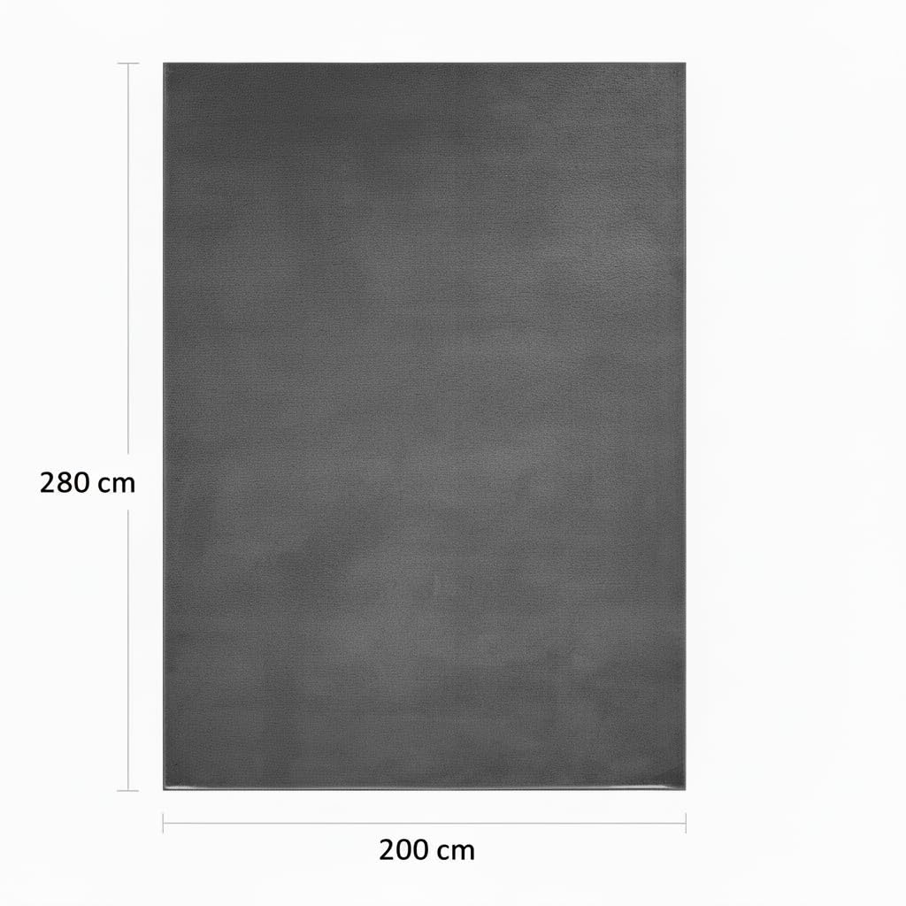 Jimri Alfombra mullida de Pelo Corto de para el hogar, Oficina, Cocina, Entrada, Pasillo, Sala de Estar, Lavable a máquina, Antideslizante, Lavable - Antracita, 200 x 280 cm