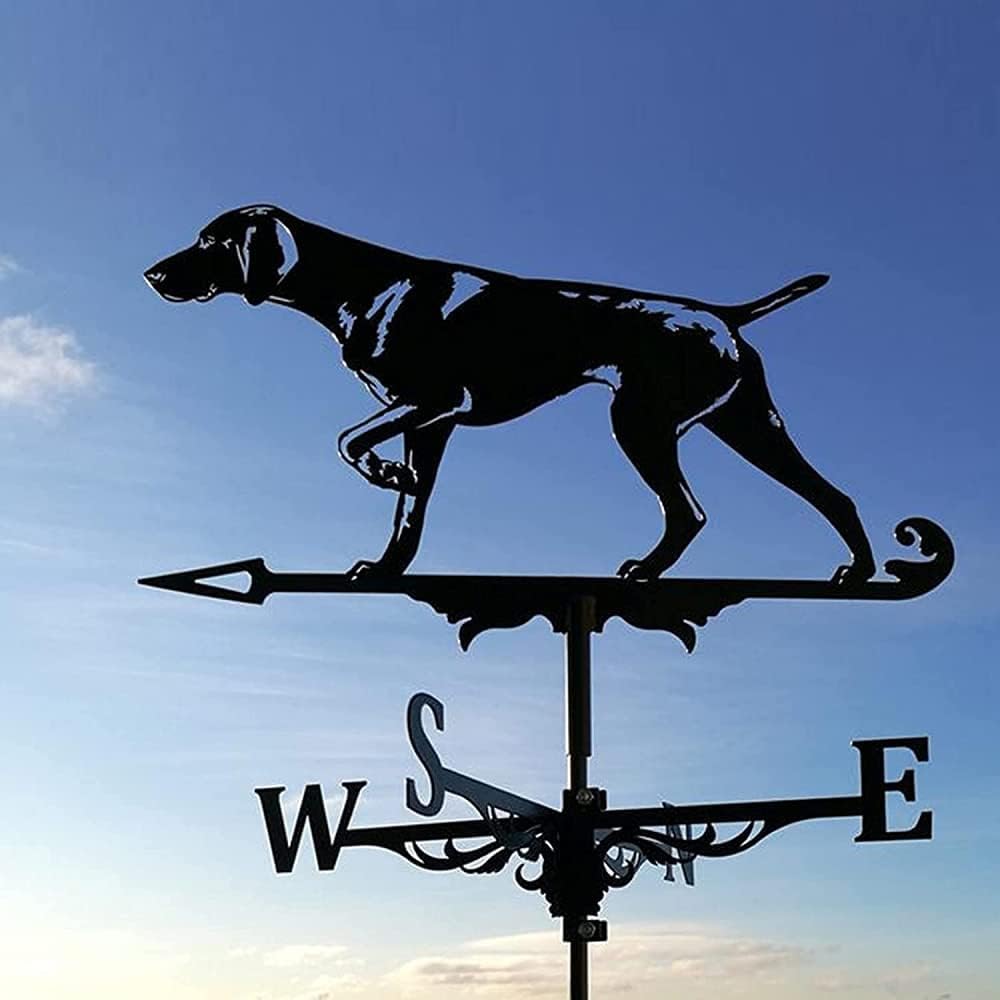 Banderuola segnavento a Forma di Cane da Caccia con indicatore di direzione del Vento e Gallo da Tetto, banderuola segnavento in Metallo retrò da Giardino, Creativa in AC