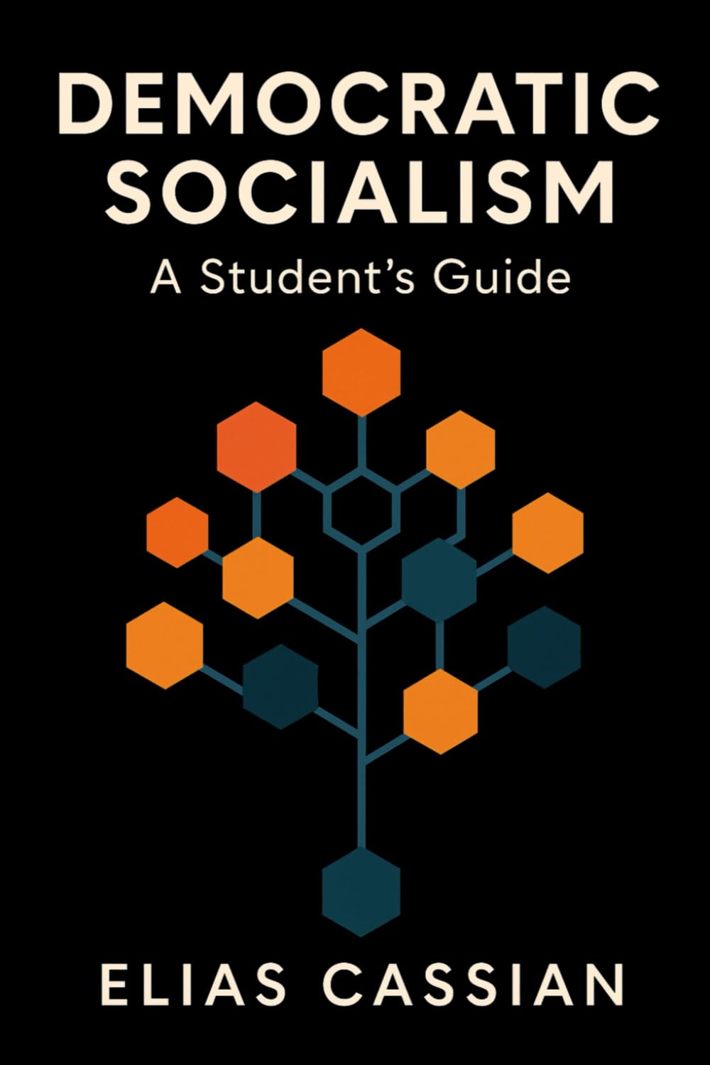 Democratic Socialism: A Student's Guide