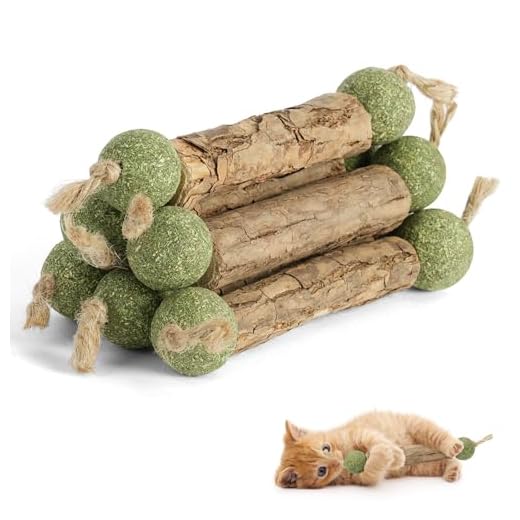 OSDUE Katzenminze Sticks für Katzen