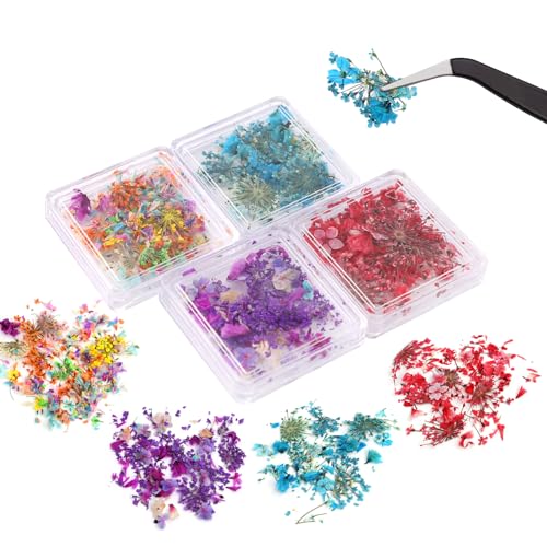 4Boxes Dried Flowers for Nails Natural Mini Real Dry Flowers Nail Art Accessories Kits DIY Mini Mix Flower Petals Nail Stickers (Design A)