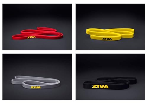 Miniatura 2 de Ziva PRO - Banda de resistencia portátil, bandas de ejercicio de asistencia para dominadas para fitness en casa, estiramiento, entrenamiento de