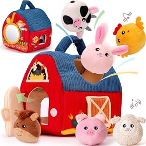 hahaland Baby Toys 6-12 Months R...