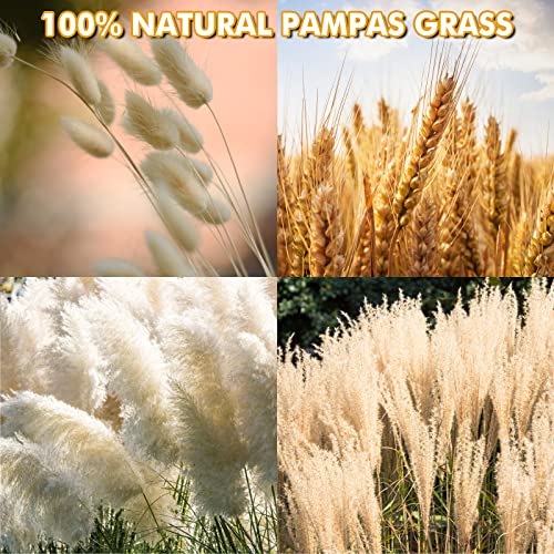 Natural Dried Pampas Grass Decor: 80 Pcs 17" Small Fluffy White Pampas Stems & Beige Reed Grass & Dry Wheat Bundle & Bunny Tail Grass Pampas Bouquet #TOP3