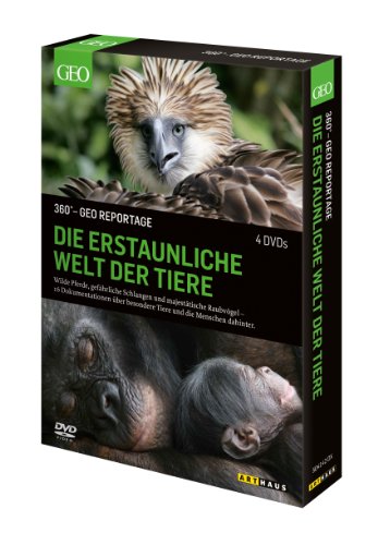 Die erstaunliche Welt der Tiere: 360° - GEO Reportage