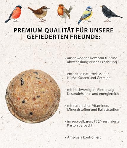 Dehner Natura Premium Meisenknödel mit Netz, ganzjähriges Wildvogelfutter proteinreich / energiereich, Vogelfutter für Wildvögel, 30 Stück je 90 g (2.7 kg), Karton aus FSC-zertifizierter Produktion