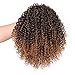 Vigorous Afro Drawstring Ponytail Kinky Curly Hair Extension for Women Synthetic Ponytail (T33) (F-Jerry-1-30#)