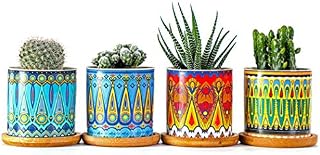 XUDREZ 7.5cm Plant Pots- Ceramic Plant Pots, Set of 4 Succulent Plant Pots, Mini Flower Pots with Bamboo Tray Decor for Home and Office