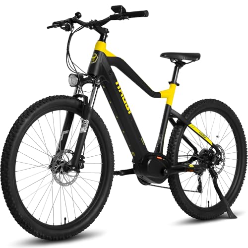 HAOQI Cheetah All-Terrain E-MTB, 48V 14Ah herausnehmbarem Doppelakku geländegängiges, 250W E-Bike mit, 20" x 4" Tire Elektrofahrrad, bis zu 25km/h, Vorderradfederung, E-Bike, 150Kg Nutzlast