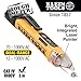 Dual-Range Non Contact Voltage Tester with Laser Pointer and Visual and Audible Alerts Klein Tools NCVT-5