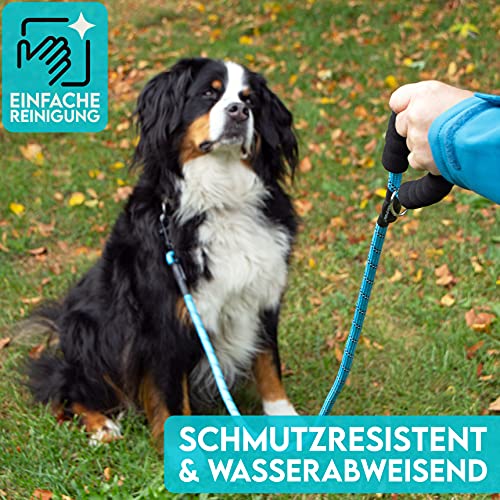 HUND IST KÖNIG Hundeleine - 1,5m Hunde Leine für Gassigehen & Training - Führleine mit weichem Griff & Reflektoren - ideale Alltagsleine für alle Rassen - leicht & robust, inkl. eBook