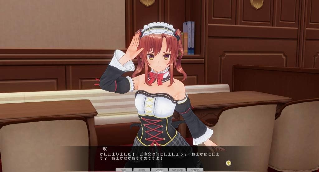 Amazon カスタムオーダーメイド3d2 キャラクターパック 天然サディスティックな小悪魔 アダルトpcゲーム Pcソフト