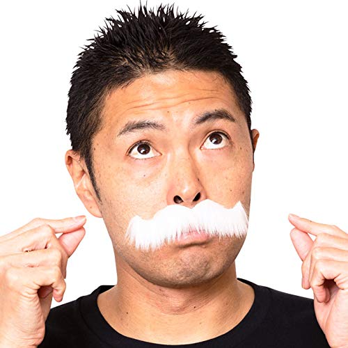 つけひげの通販 価格比較 価格 Com