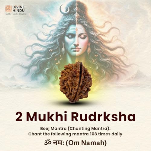 Image of Divine Hindu Original 2 Mukhi (Two Face) Indonesia Rudraksha | Do Mukhi Rudraksh Bead for Meditation, Protection & Spiritual Growth | Natural Rudraksha for Men & Women | Prayer Bead for Success