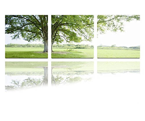 Oil Painting Modern Art Large Canvas Wall Art 3 Piece Canvas Art Unstretch and No Frame with Surrounded by green trees, the recent best-selling products
