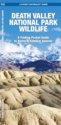 Death Valley National Park Wildlife (Nature Observation North America)