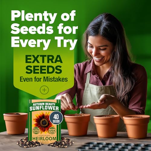 Image of HOME GROWN Autumn Beauty Sunflower Seeds to Plant 40 Heirloom Non-GMO Sunflower Seeds for Planting Blooms for Pollinator Support, and Ornamental Flower Garden (Helianthus annuus)