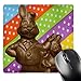 Price comparison product image 3dRose mp_42925_1 8 x 8-Inch Chocolate Father and Son Bunnies Mouse Pad