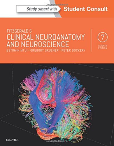 Fitzgerald's Clinical Neuroanatomy and Neuroscience, 7e by Estomih Mtui MD (2015-12-09)
