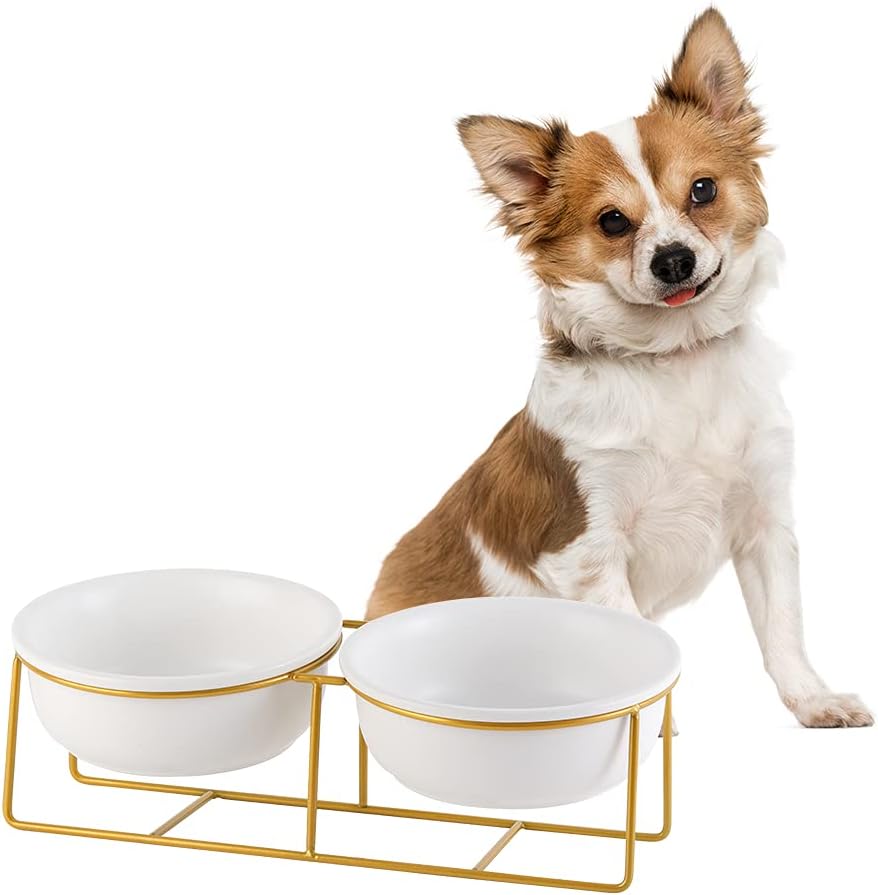 Elevated Dog Bowls for Small Dogs – 2 Ceramic Bowls with Gold Iron Stand – Raised Pet Dish Set for Food and Water – Comfortable Feeding