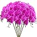 FagusHome 6 Pcs Artificial Phalaenopsis Flowers 32 Inch Artificial Orchid Flowers Stem Plants Fake Flowers for Home DÃ©cor (Purple)