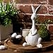 Pawliss Easter Decorations Bunny Decor: White Resin Rustic Rabbit Figurine with Long Neck Big Belly, Vintage Easter Bunny Statue for Spring Easter Home Office Table Decor, Party Supplies Gifts