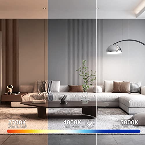 Mastery Mart Vintage Led Edison Bulbs - Cri 95+ 60W Equivalent E26 Light Bulb, St19 5.5W Decorative Light Bulb Non-Dimmable, Ul And Energy Star Certified [4000K Cool White，6 Pack] #TOP3