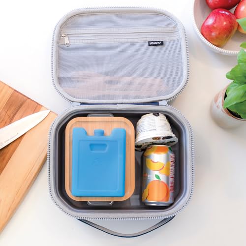 Image of Igloo Maxcold Ice Blocks, Reusable Ice Packs for Coolers, Freezer Pack, Cold Packs for Coolers, Long Lasting Ice Blocks
