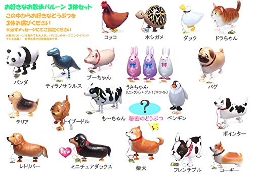 Amazon | お散歩バルーン お好きな動物 よりどり 3体セット ヘリウム