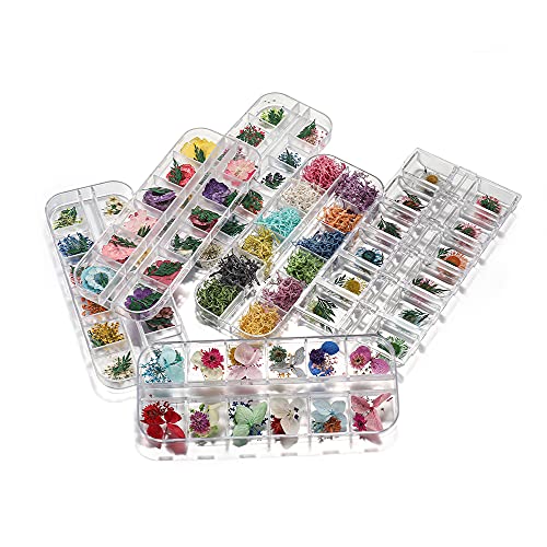 Caja de Flores Secas Naturales para Manualidades miniatura 5