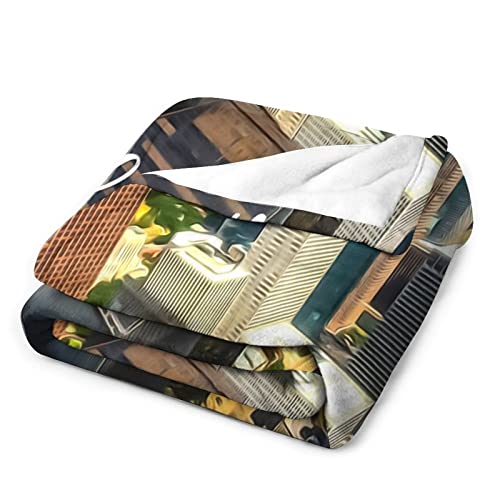 Couverture d'intérieur en flanelle douce idée cadeau original