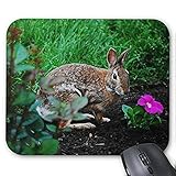 Mousepad del cojín de ratón del juego ¡Serie encantadora del conejo Mousepad cogida en la ley! Alfombrilla de ratón Conejito de conejito Alfombrilla de ratón Rectángulo Alfombrillas De Raton