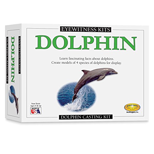 Eyewitness Kit Dolphin
