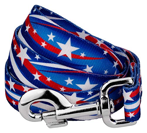 Country Brook Petz - Star Spangled Dog Leash - Americana Collection Featuring Patriotic Designs (6 Foot, 1 Inch Wide)