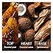Chanson Coconut Hair & Body Mist for Women 2.5 fl oz (Pack of 1), Notes of Pear, Coconut Water, and Sandalwood, Women's Fragrance, Long Lasting, Everyday Fragrance, Travel Size