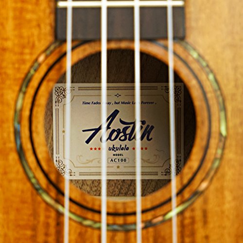 テナーウクレレをamazonで買った Aostin At100 徹底レビュー ジャーナログ 新社会人の日常