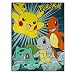 Pokemon Silky Soft Throw Blanket 40 X 50